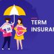 Term Insurance Plan