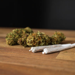 Ontario Cannabis Products Available with Same-Day Shipping Options