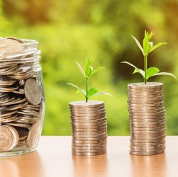 Money, profit, finance — Free vs. Paid Pay Stub Generators: Which One Is Right for You?