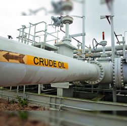 How Oil and Gas Prices Influence Energy Consultants' Recommendations for Businesses
