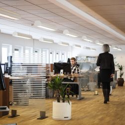 Office, business, company — "How to Legally Buy Weed in Canada: A Step-by-Step Guide"