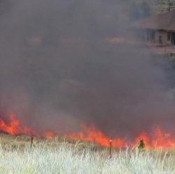 Firefighters responding to a wildfire with flames and smoke in the background.