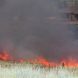 Firefighters responding to a wildfire with flames and smoke in the background.